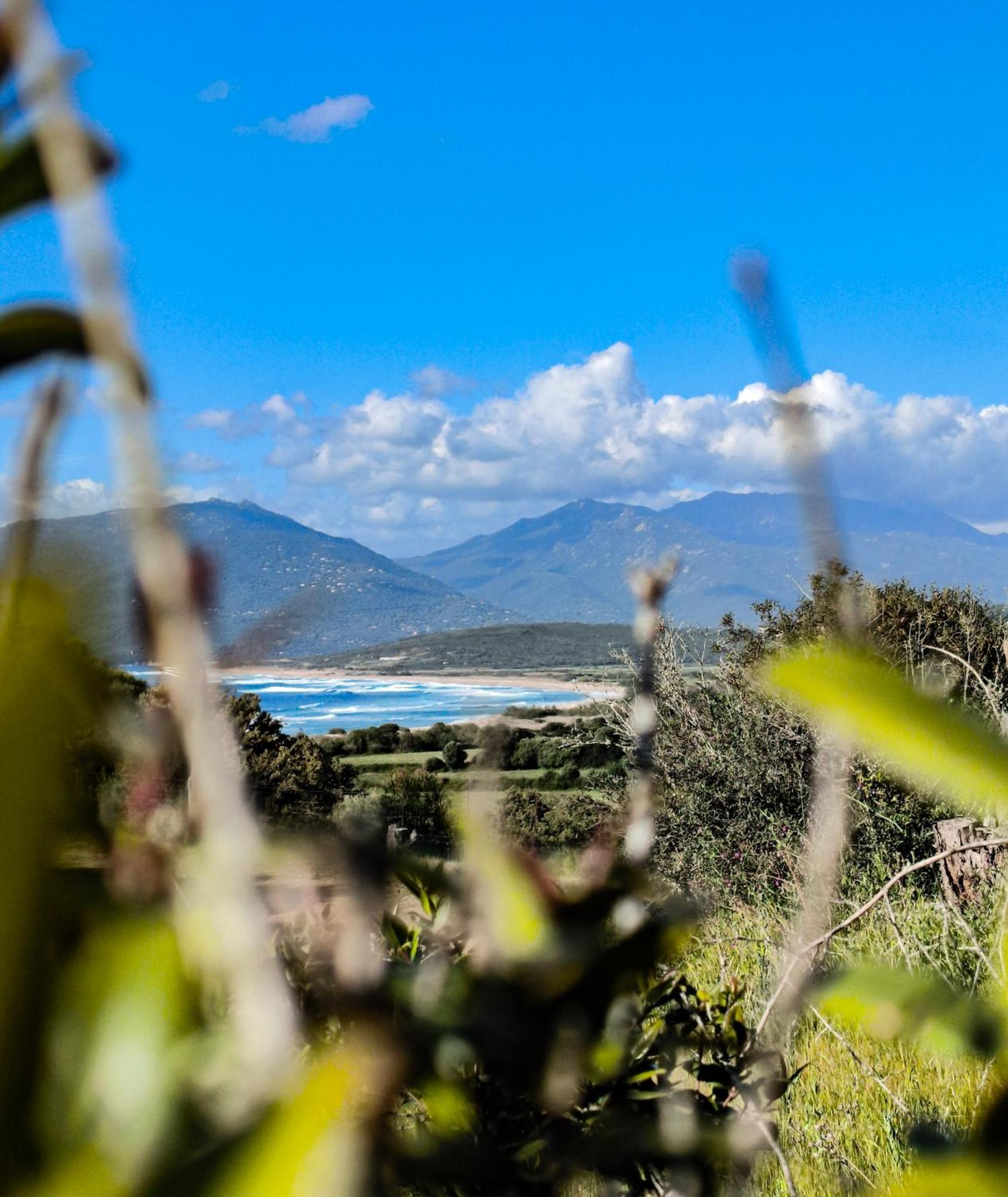 Mira Monti Location Belvedere-Campomoro